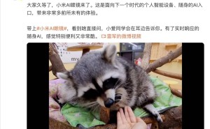 小米AI眼镜来袭！第一人称视角拍摄，健身带娃都能同步记录