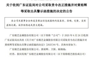 A股精艺股份董事长成老赖被曝光，监管要求换人，中小股东曾反对无效