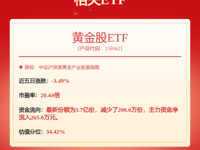 山金國(guó)際回應(yīng)投資者關(guān)切：高度重視關(guān)系管理，華盛金礦備案進(jìn)展如何？