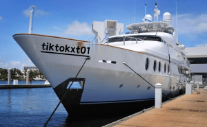 TikTok矩阵运营：如何精准打造账号IP人设，引爆流量？