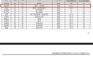 海融科技2024业绩飘红，总经理黄海瑚年薪超三百万，兄弟共掌舵