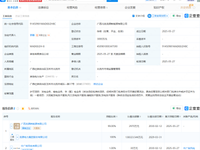 龙源电力、中广核风电在广西成立新能源公司