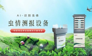 物联网赋能虫情测报：开启农业害虫监测智能化新时代