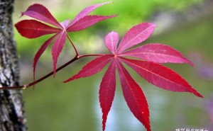 破茧成蝶，毕业季陈校长寄语：如何走出“信息茧房”，拥抱真实世界？