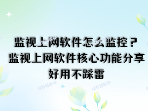 高效管理网络行为：监视上网软件核心功能全解析