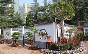 紫薇绽放浪漫季 郑州市花展邀您共赏“薇”风雅韵