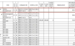 孚能科技2024年亏损减少，王瑀年薪跃升至420万，公司业绩何去何从？
