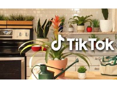 TikTok Shop进军日本，打造全新“发现型电商”购物体验
