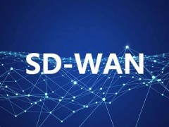 海外分公司与国内互联高效方案：SD-WAN与专线，哪种更适合您的企业？