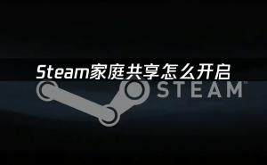 Steam家庭共享功能全攻略：轻松共享游戏库的步骤详解