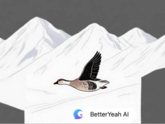 斑頭雁獲超億元B輪融資，阿里云領投，加速AI智能體商業化進程