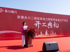 永川电力二期开工，携手国际伙伴共探绿色发展之路