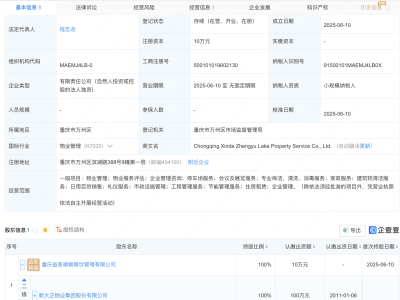 新大正成立新公司，含节能管理服务业务