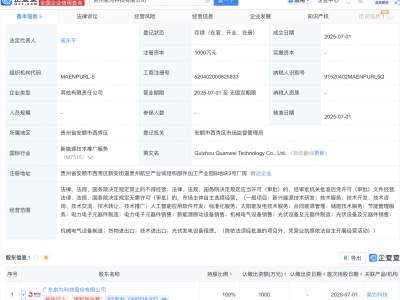 ST泉为新设子公司，含AI软件开发业务