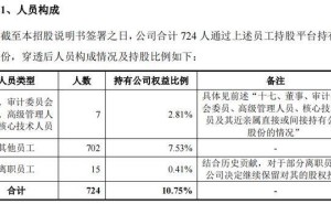 摩尔线程冲刺科创板，三年亏50亿，724名员工与资本巨头共谋未来？
