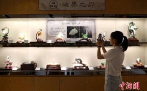 玉见未来：中华玉都新生代玉雕作品展京城璀璨启幕