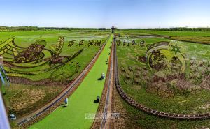 闫家岗农场稻田画：神话与农耕交织，绘现代农业文化新图景
