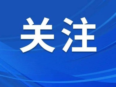 石家庄信息工程学院学子斩获国赛WPS AI智能办公高职组团体桂冠
