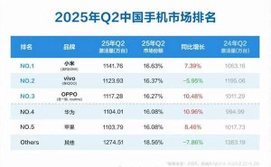 小米蝉联国内手机市场Q2新机激活量榜首，苹果实施降价策略排名提升