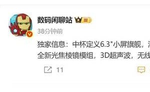 vivo X300小屏旗舰来袭：首发天玑9500，超声波指纹+满级防水亮点多