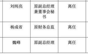 70后跨界高管王苏望升任国投证券董事长，央企券商高层调整引关注