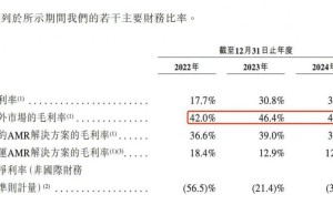 清华系创业十年终成果，极智嘉成港股机器人收入冠军