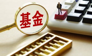 国新国证基金董事长悄然变更，未发公告引信披合规争议