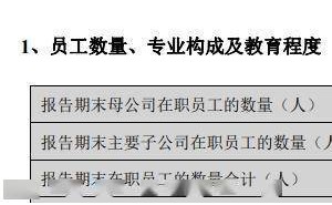 星星科技2024年营收大增41%却净亏6亿，董事长应光捷年薪150万如何应对？