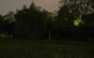 夏夜漫步，任平生笔下的清凉诗篇与自拍美景