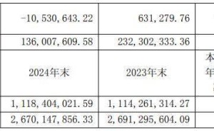 国光连锁营收增长11%，家族企业格局：董事长胡金根携亲属共治