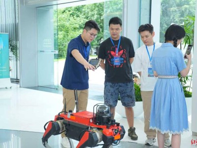 动漫游戏遇上文旅新风尚，2025中国（成都）消费季盛大启幕