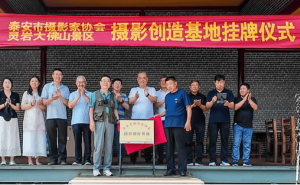 灵岩大佛山景区迎来新伙伴，泰安市摄影家协会创作基地正式挂牌！