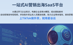 B2B企业海外社媒营销全攻略：如何精准选伙伴，高效达目标？