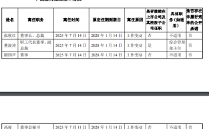 闻泰科技高层变动：高管团队集体辞职，战略重心全面转向半导体领域