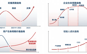 企业战略规划到落地：创始人如何带领团队步步为营？