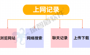 企业电脑监控软件：双刃剑下的高效管理与人文关怀
