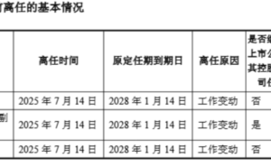 闻泰科技管理层大换血，半导体业务成重心，新管理层即将上任