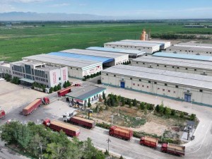 科技賦能夏糧收儲，寧夏糧食集團(tuán)打造智慧儲糧新典范