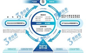 智慧农业新路径：江苏叁拾叁打造农业智能化升级全方案