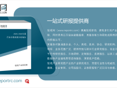 2026-2031全球及中國咖啡因市場深度剖析與投資藍(lán)圖