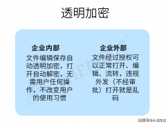 文件安全保卫战：五招助你加固信息防线