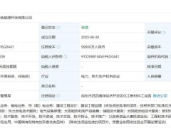 華能國(guó)際攜手多家企業(yè)，9.9億共筑綠色能源新篇章