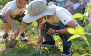 海淀这所小学：以向日葵为媒，培育中高考核心能力