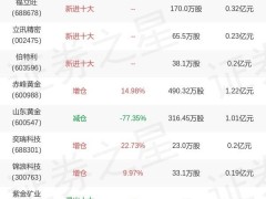 國(guó)泰雙利A中報(bào)揭秘：陳志華重倉(cāng)山金國(guó)際，持股變動(dòng)引關(guān)注