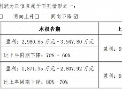 移为通信上半年净利大跌六成，关税波动致北美订单受挫