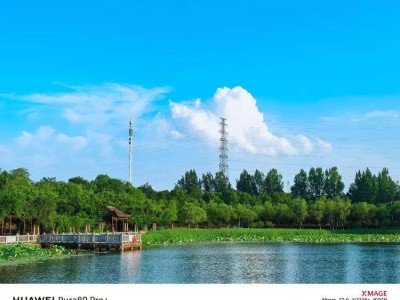 华为Pura80 Pro+影像旗舰，上市月余降价千元，性价比凸显