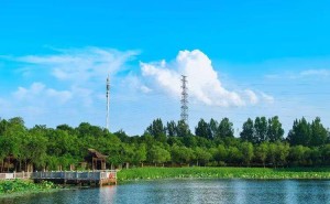 华为Pura80 Pro+影像旗舰，上市月余降价千元，市场策略引关注