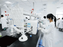 呕吐毒素快速检测新利器：高效精准守护食品安全