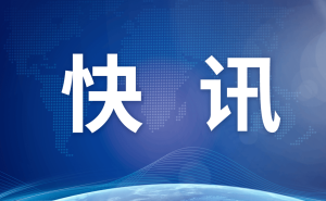 中国互联网发展报告：11.23亿网民，AI应用加速，银发网民破1.6亿