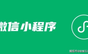 上海小程序开发版图：锐智系领衔，全球服务商共绘数字化转型蓝图